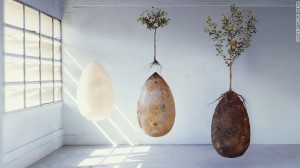 170424132824-capsula-mundi-three-eggs-exlarge-169